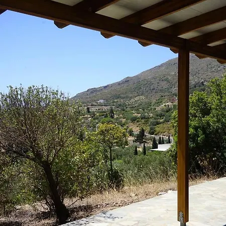 Manitohori In The Trees
